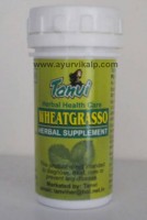 WHEATGRASSO Tanvi Herbal, 50 Ghana Satva Tablets, For Health Complaints